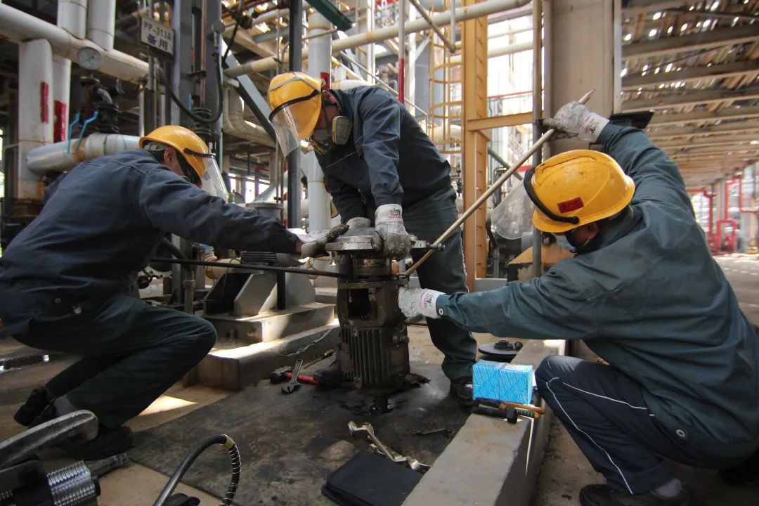 �й���yl23411(����)���Ź���-Officialwebsite