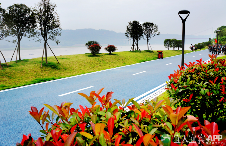 �й���yl23411(����)���Ź���-Officialwebsite