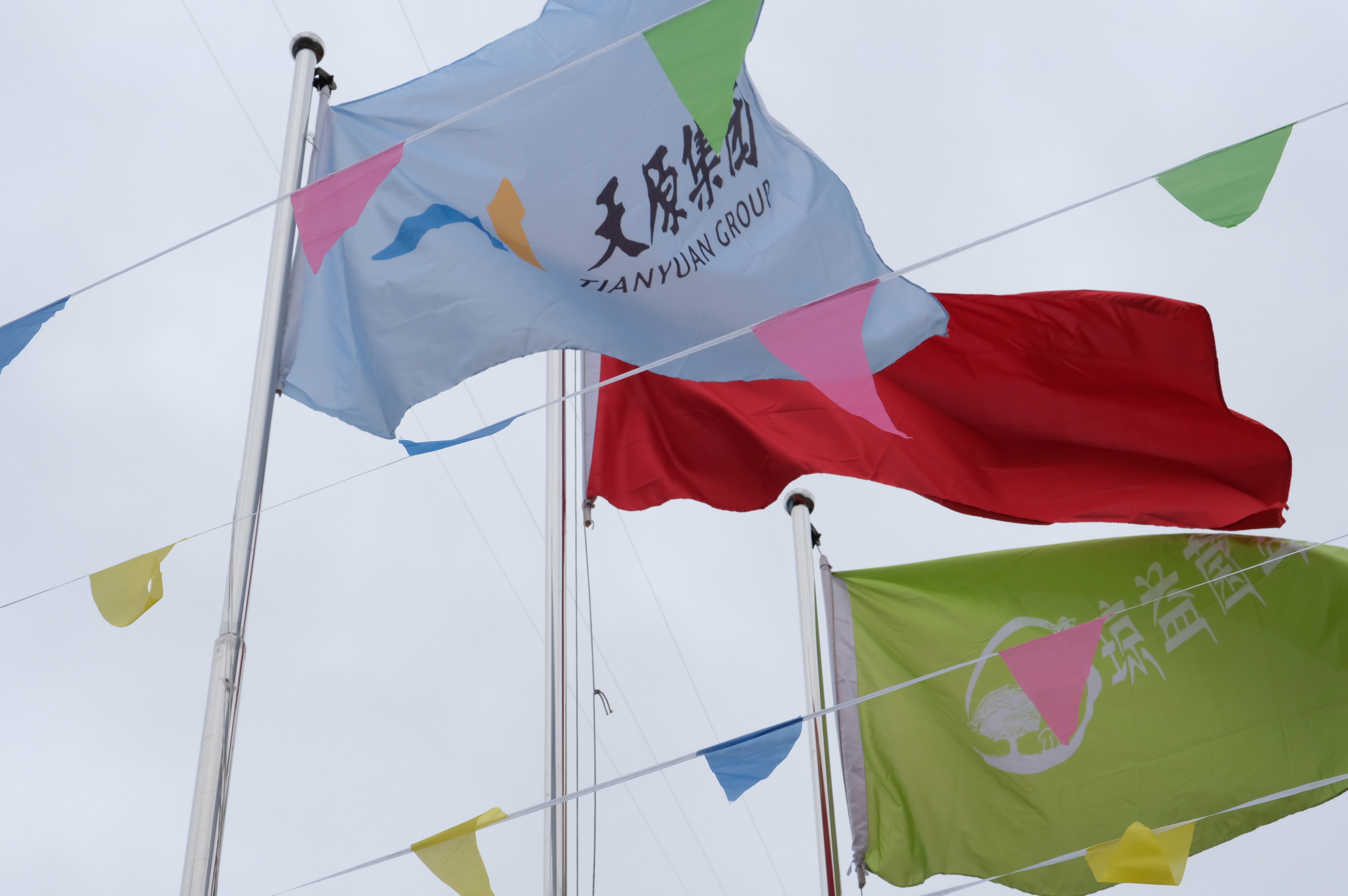 �й���yl23411(����)���Ź���-Officialwebsite