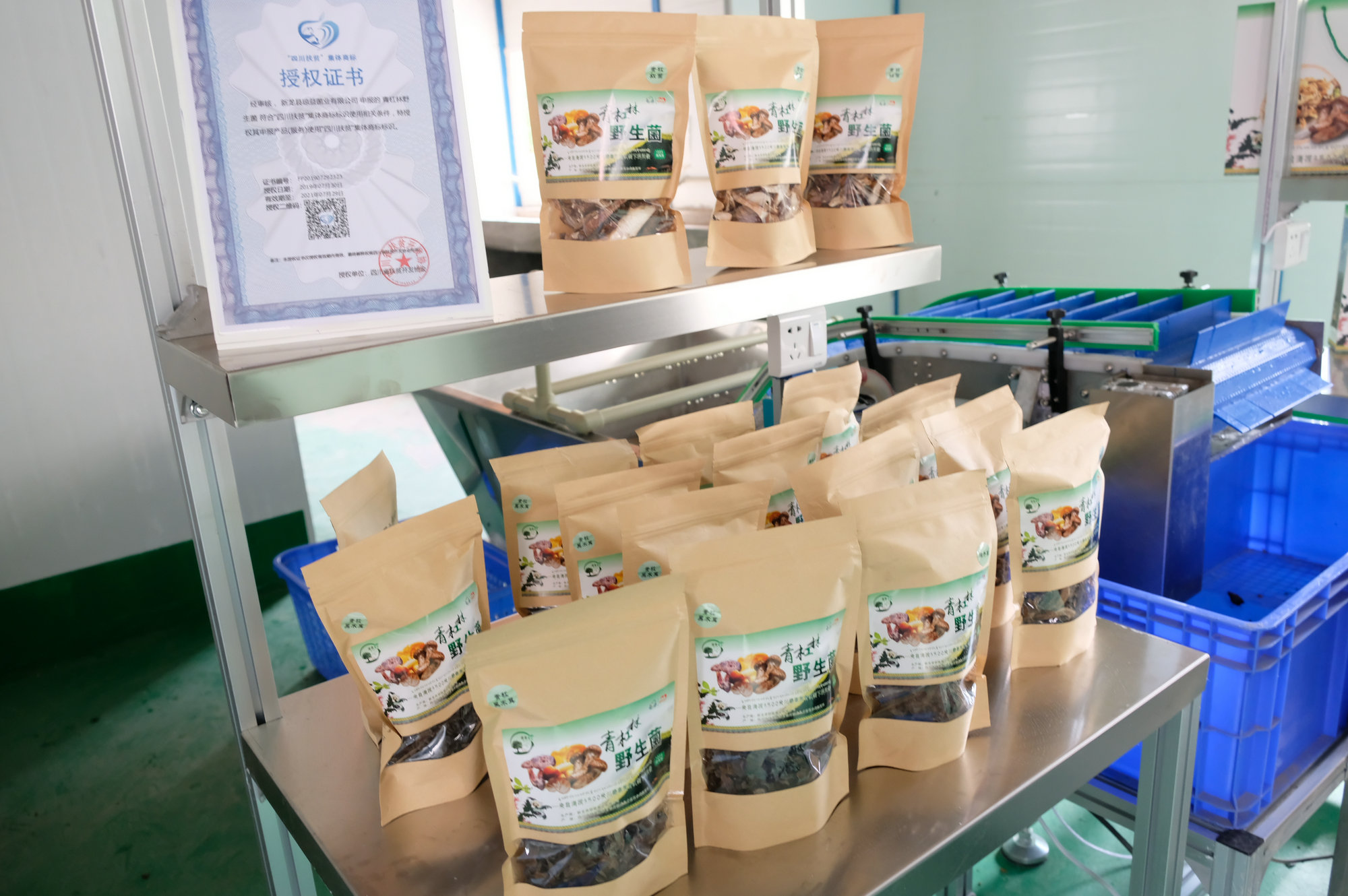 �й���yl23411(����)���Ź���-Officialwebsite