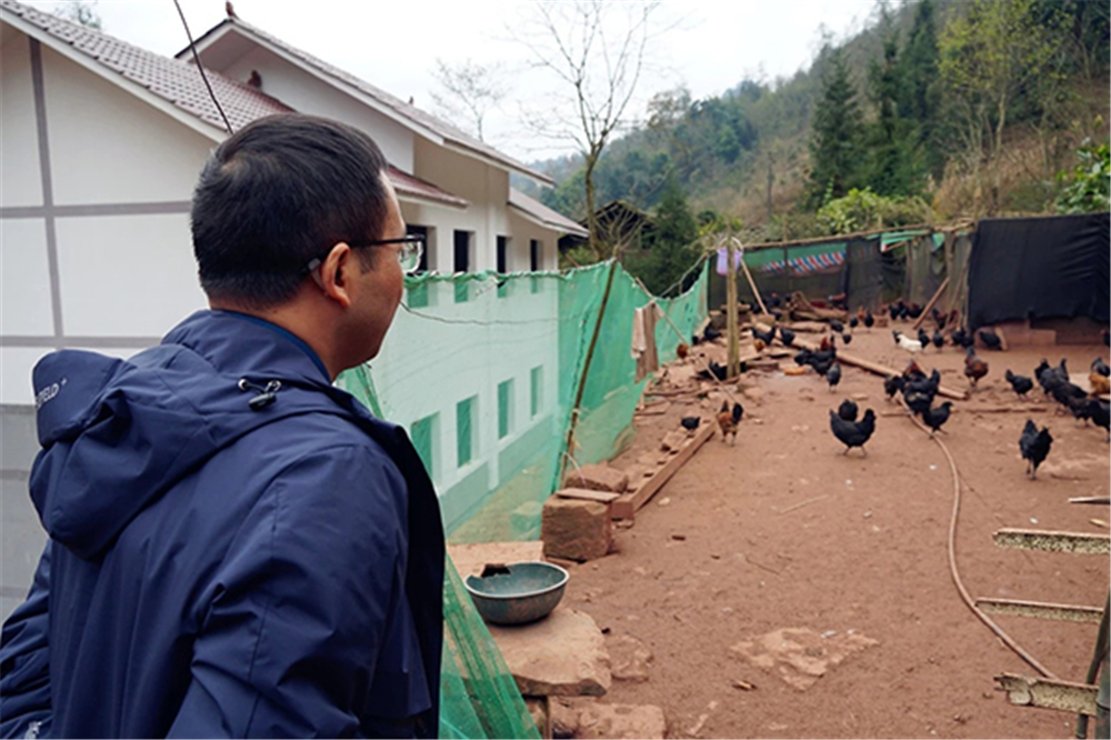 �й���yl23411(����)���Ź���-Officialwebsite