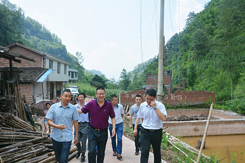 �й���yl23411(����)���Ź���-Officialwebsite