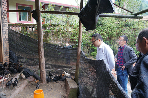 �й���yl23411(����)���Ź���-Officialwebsite