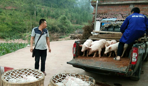 �й���yl23411(����)���Ź���-Officialwebsite