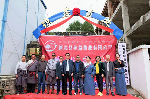 �й���yl23411(����)���Ź���-Officialwebsite