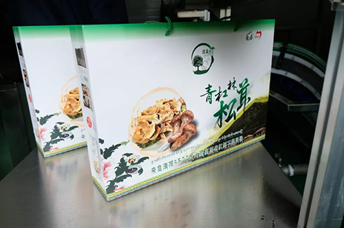 �й���yl23411(����)���Ź���-Officialwebsite