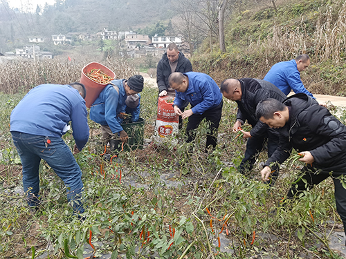 �й���yl23411(����)���Ź���-Officialwebsite