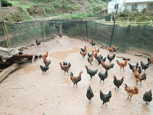 �й���yl23411(����)���Ź���-Officialwebsite