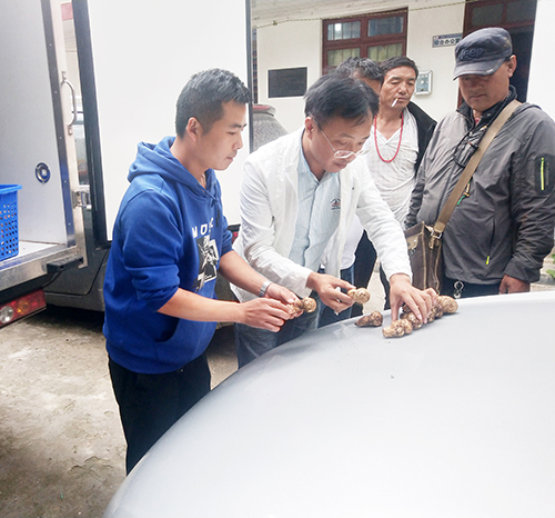 �й���yl23411(����)���Ź���-Officialwebsite