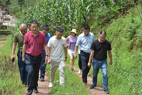 �й���yl23411(����)���Ź���-Officialwebsite