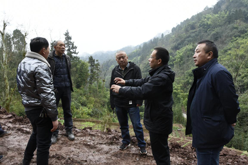 �й���yl23411(����)���Ź���-Officialwebsite