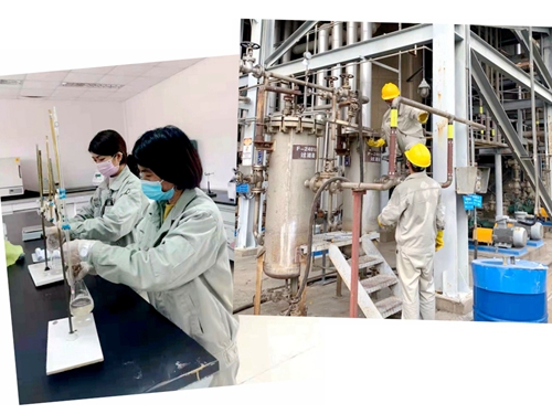 �й���yl23411(����)���Ź���-Officialwebsite