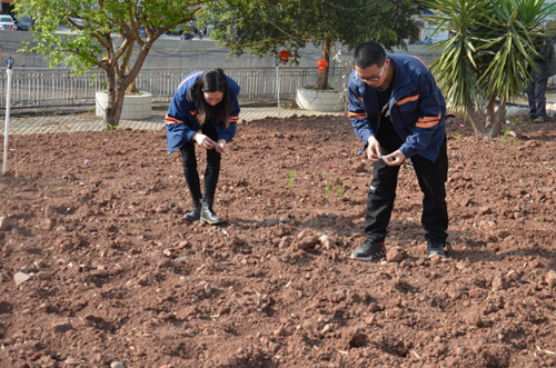 �й���yl23411(����)���Ź���-Officialwebsite