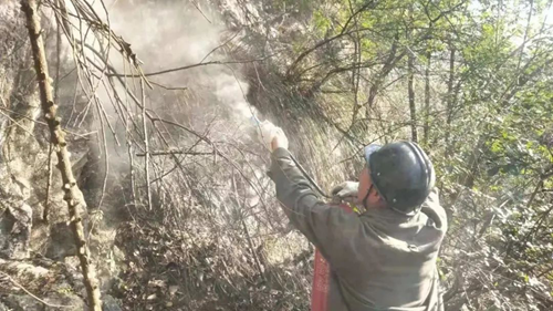 �й���yl23411(����)���Ź���-Officialwebsite