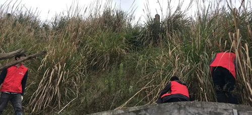 �й���yl23411(����)���Ź���-Officialwebsite