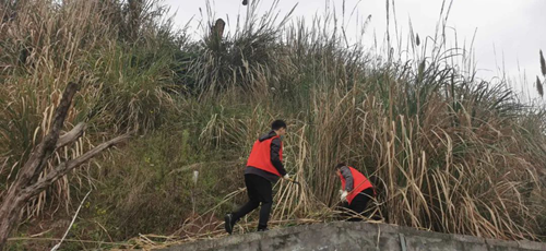 �й���yl23411(����)���Ź���-Officialwebsite