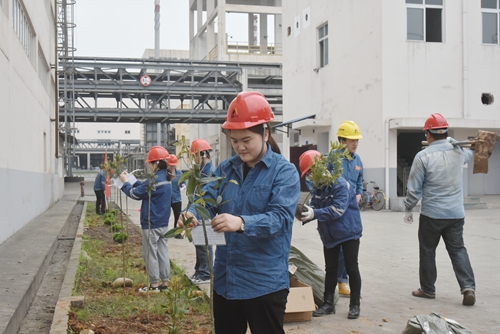 �й���yl23411(����)���Ź���-Officialwebsite