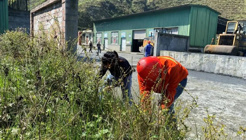 �й���yl23411(����)���Ź���-Officialwebsite