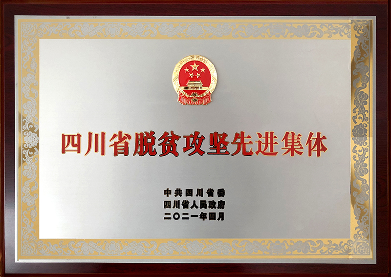 �й���yl23411(����)���Ź���-Officialwebsite