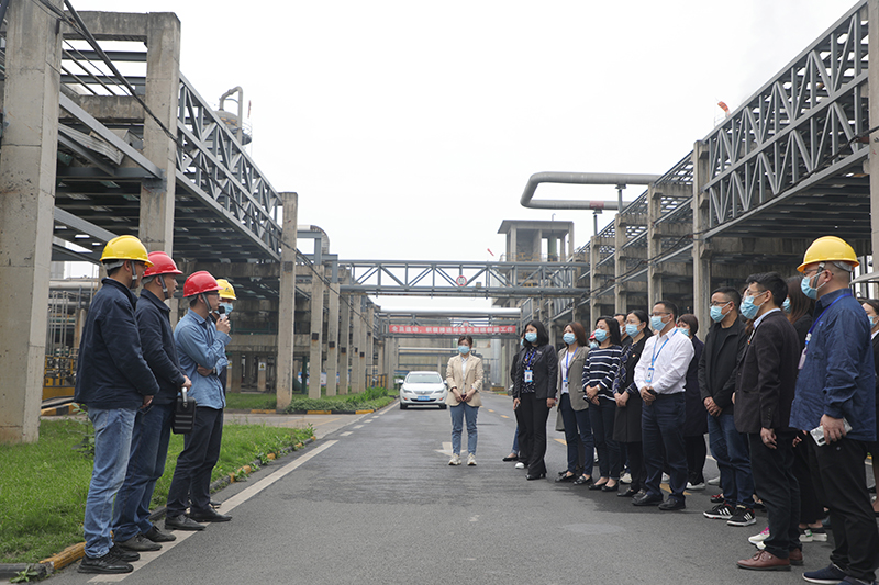 �й���yl23411(����)���Ź���-Officialwebsite