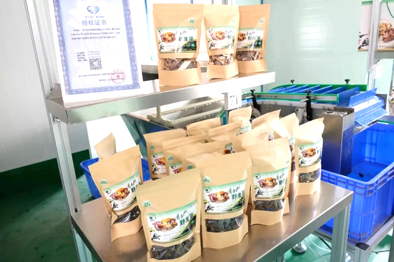 �й���yl23411(����)���Ź���-Officialwebsite