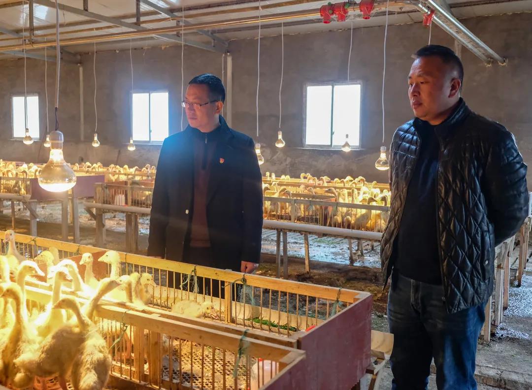 �й���yl23411(����)���Ź���-Officialwebsite