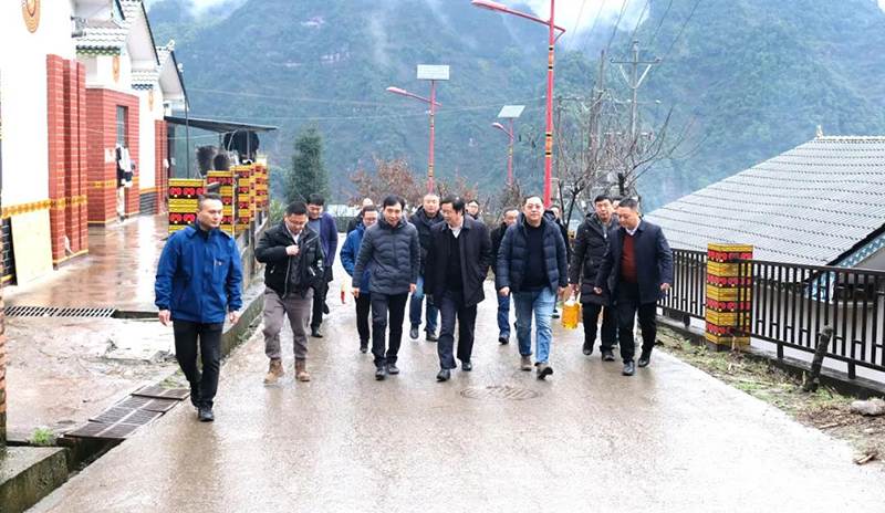 �й���yl23411(����)���Ź���-Officialwebsite