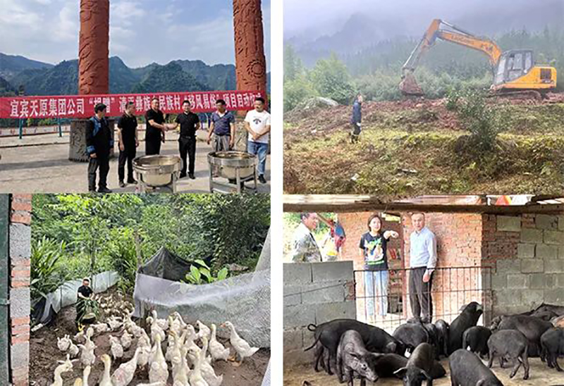 �й���yl23411(����)���Ź���-Officialwebsite