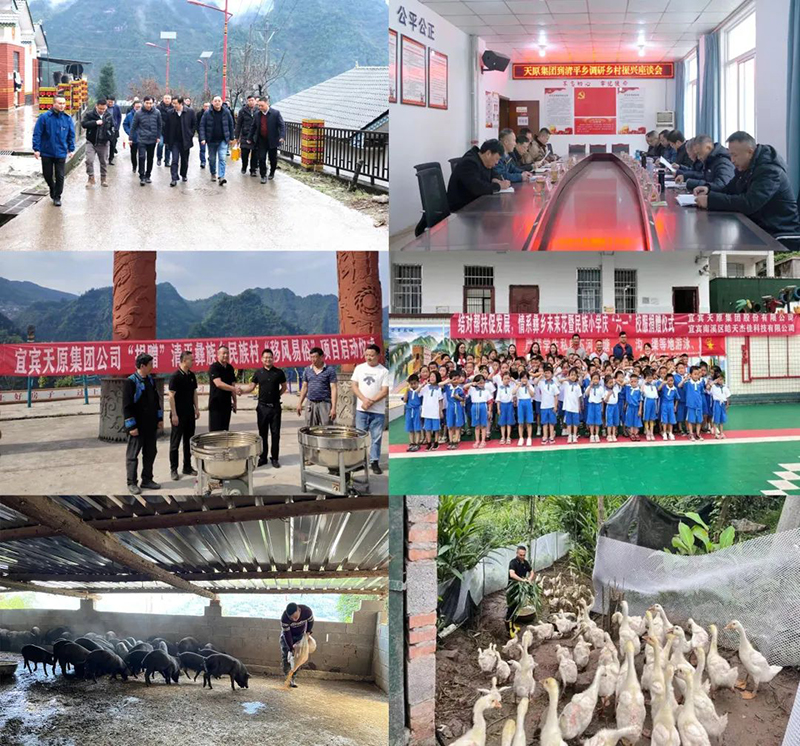 �й���yl23411(����)���Ź���-Officialwebsite