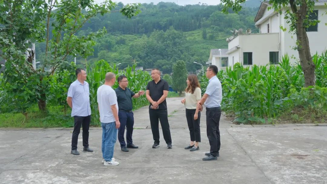 �й���yl23411(����)���Ź���-Officialwebsite