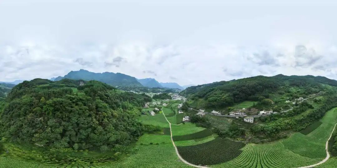 �й���yl23411(����)���Ź���-Officialwebsite