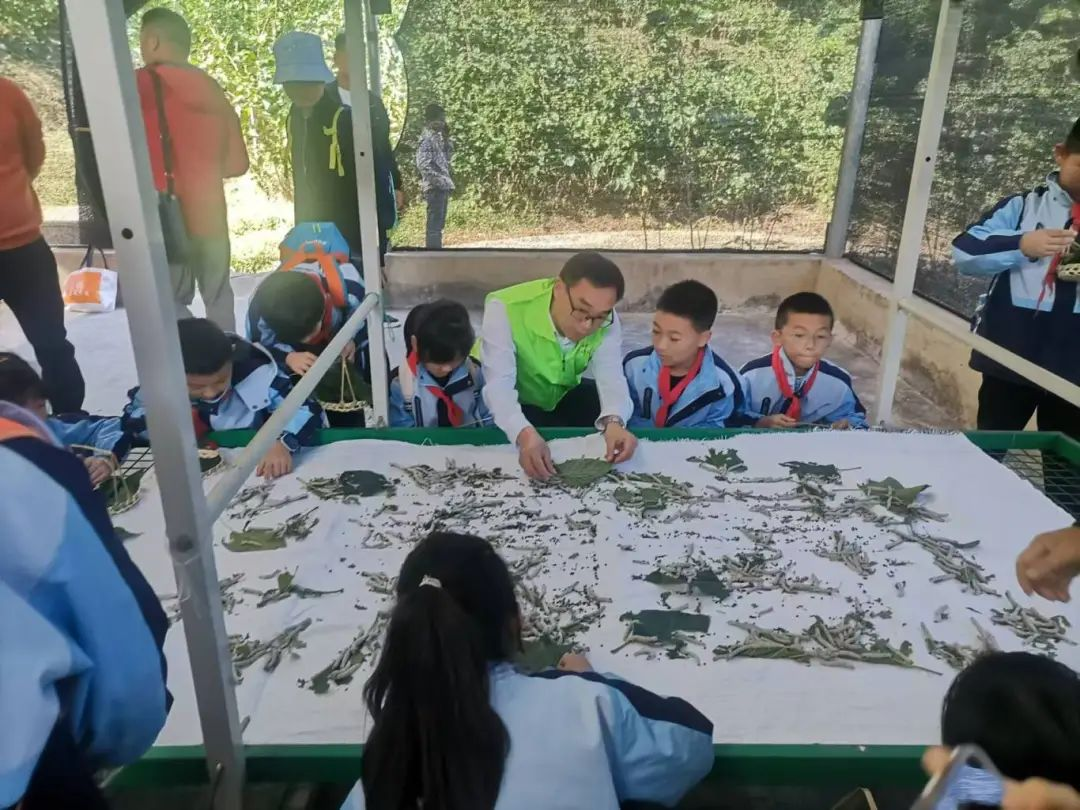 �й���yl23411(����)���Ź���-Officialwebsite