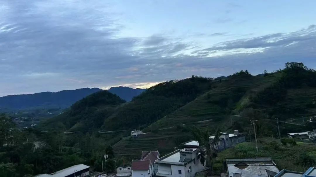 �й���yl23411(����)���Ź���-Officialwebsite