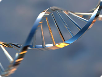 中国·yl23411(永利)集团官网-Officialwebsite